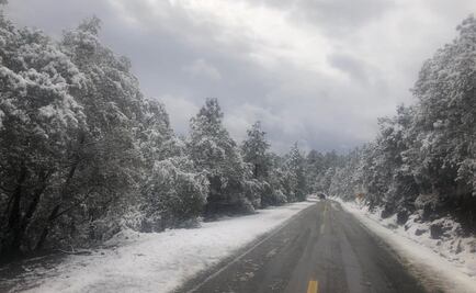 Suspenden clases en 178 escuelas de la Sierra de Chihuahua por nevadas