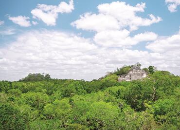 Tren Maya amenaza con arrollar el paraíso de Calakmul