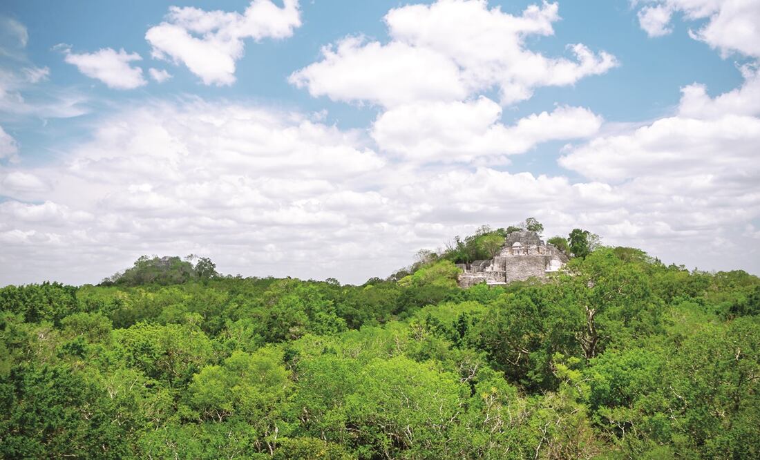 Foto: archivo El Universal