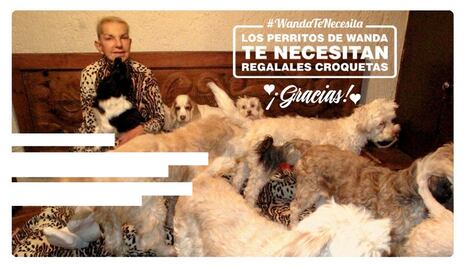 "Wanda Seux, un ser amoroso con los animales": Regina Orozco