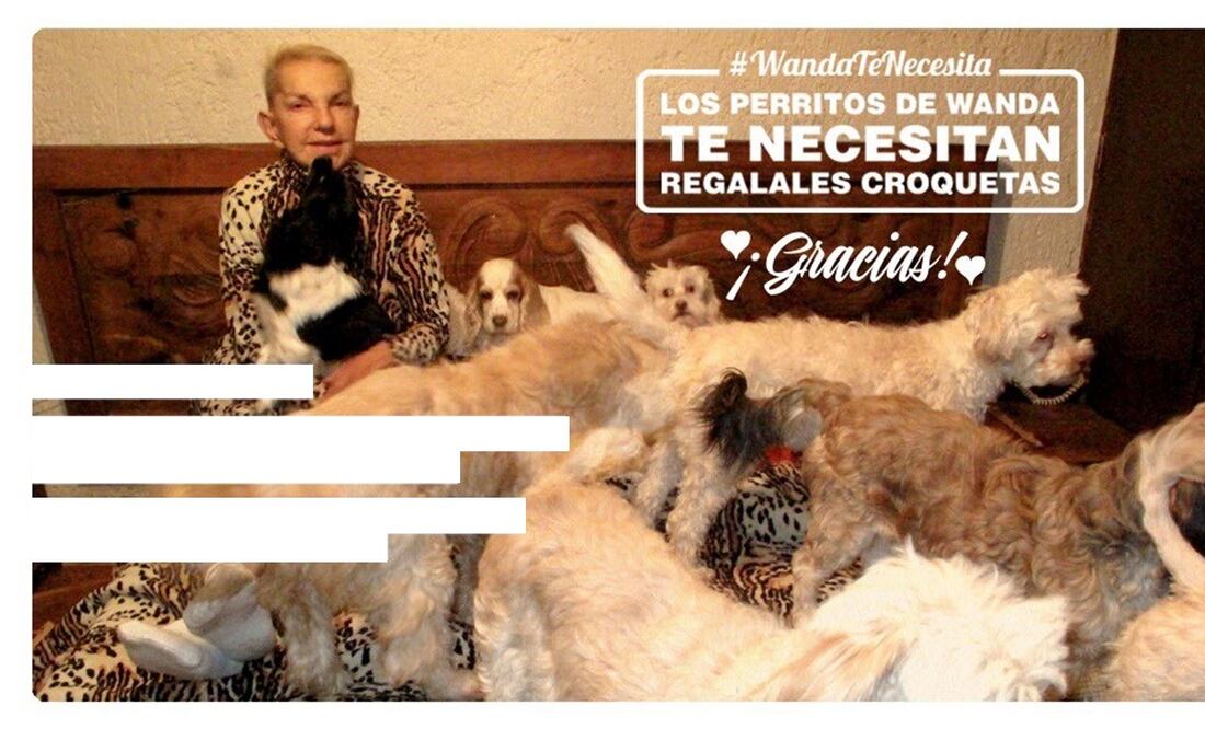 Wanda Seux fue apoyada por algunas organizaciones para que la gente le regalara comida a sus perros. Foto: Captura Twitter