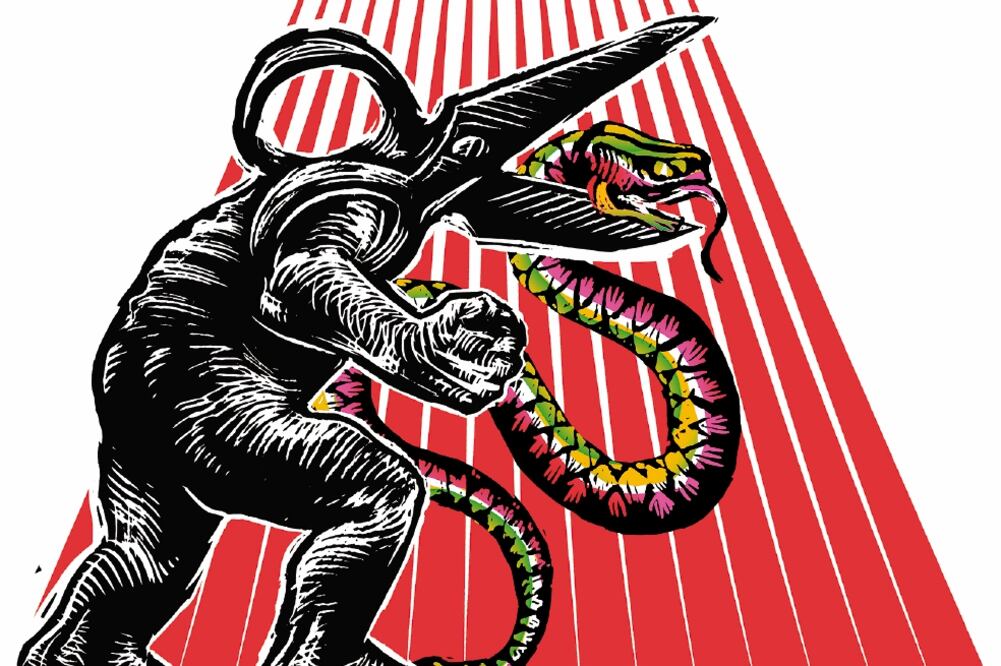 Los motivos del Chapo