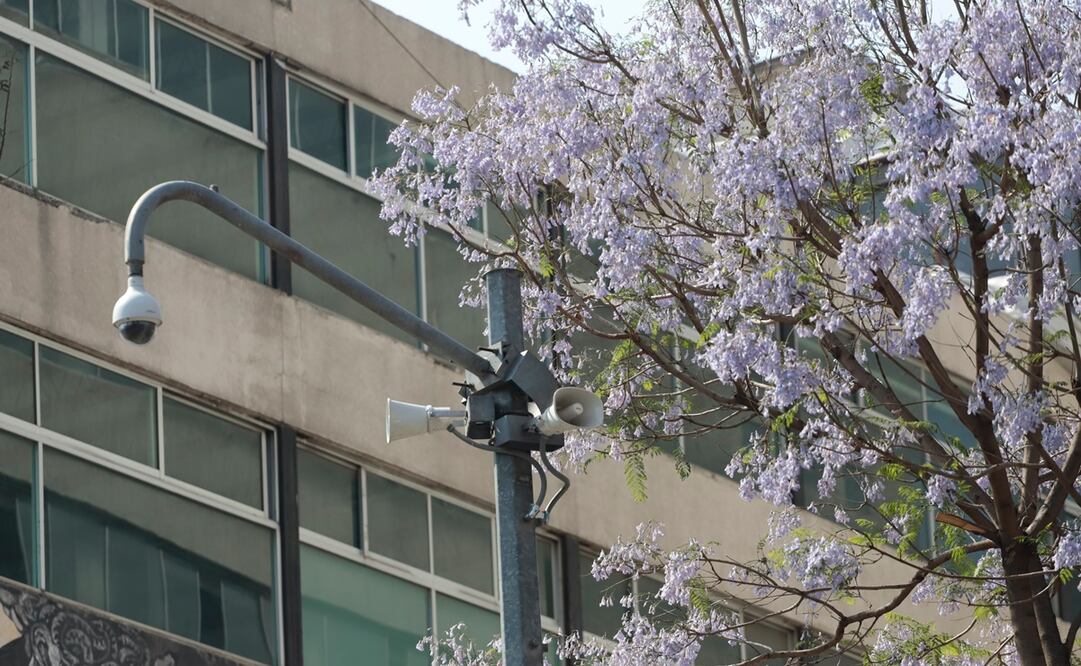 Foto: Archivo / EL UNIVERSAL