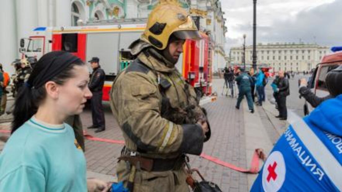 Salvan gatitos del Hermitage, su tesoro más valioso