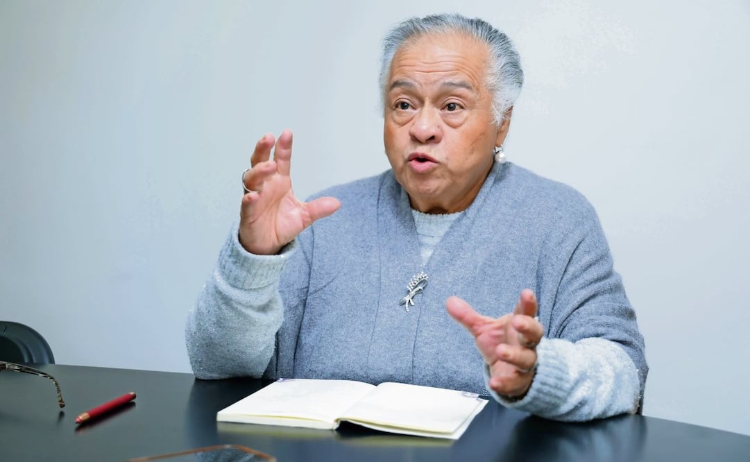 En enero iniciará la colocación de luminarias inteligentes en la colonia Juárez, informó la presidenta del Comité Técnico de Parquímetros. Foto: Fernanda Rojas / EL UNIVERSAL