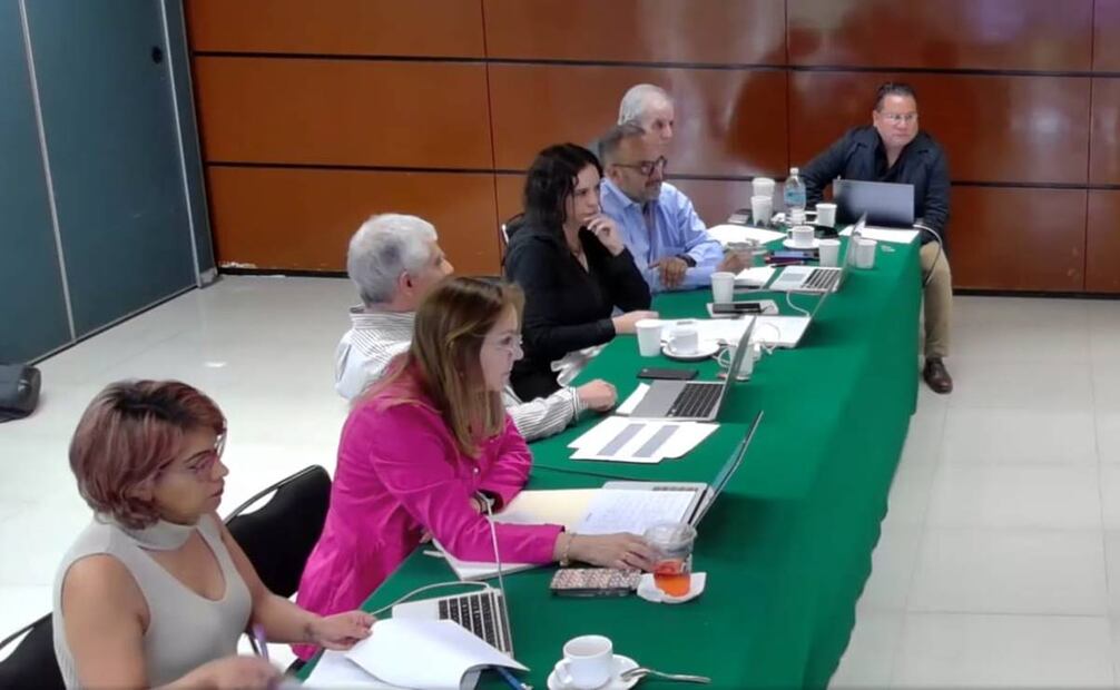 Comité que entrevista a Bertha Alcalde, durante la elección de candidatos a consejero electoral del INE. Foto: Captura