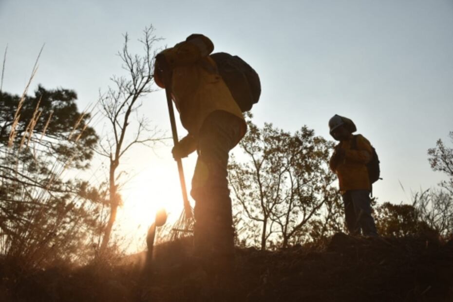 Incendio forestal en cerro del Tepozteco consume 50 hectáreas de bosque en Morelos