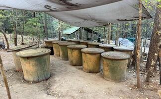 Aseguran dos laboratorios de aparente producción de droga sintética en la sierra de Chihuahua; localizan campamento con víveres