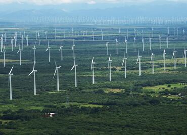 Empresas energéticas eólicas piden aprovechar inversiones ante rezago de México a nivel mundial