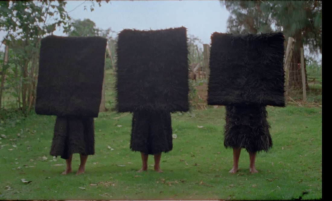 Formas de atravesar un territorio documenta la vida de un grupo de mujeres tsotsiles en los Altos de Chiapas. Crédito: Especial