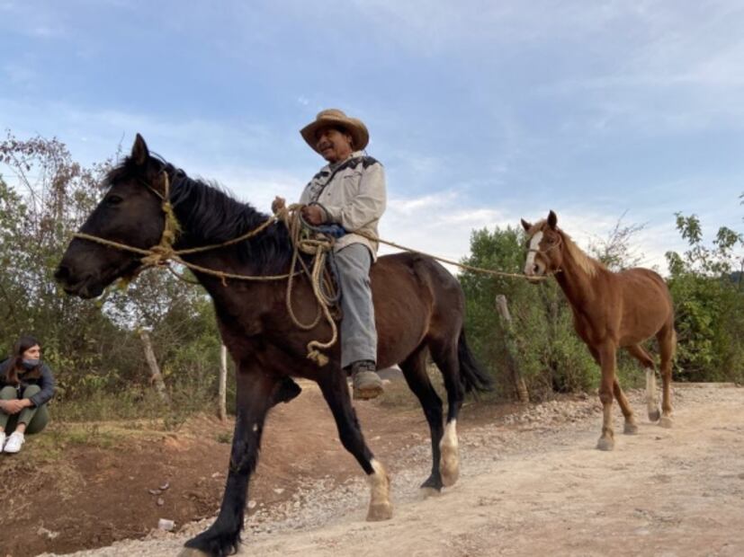 La precaria Navidad en Torrecillas, Michoacán