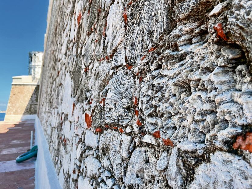 Paredes porosas llenas de historia, una construcción que data desde 1519. Foto: Patricia Morales / El Universal 