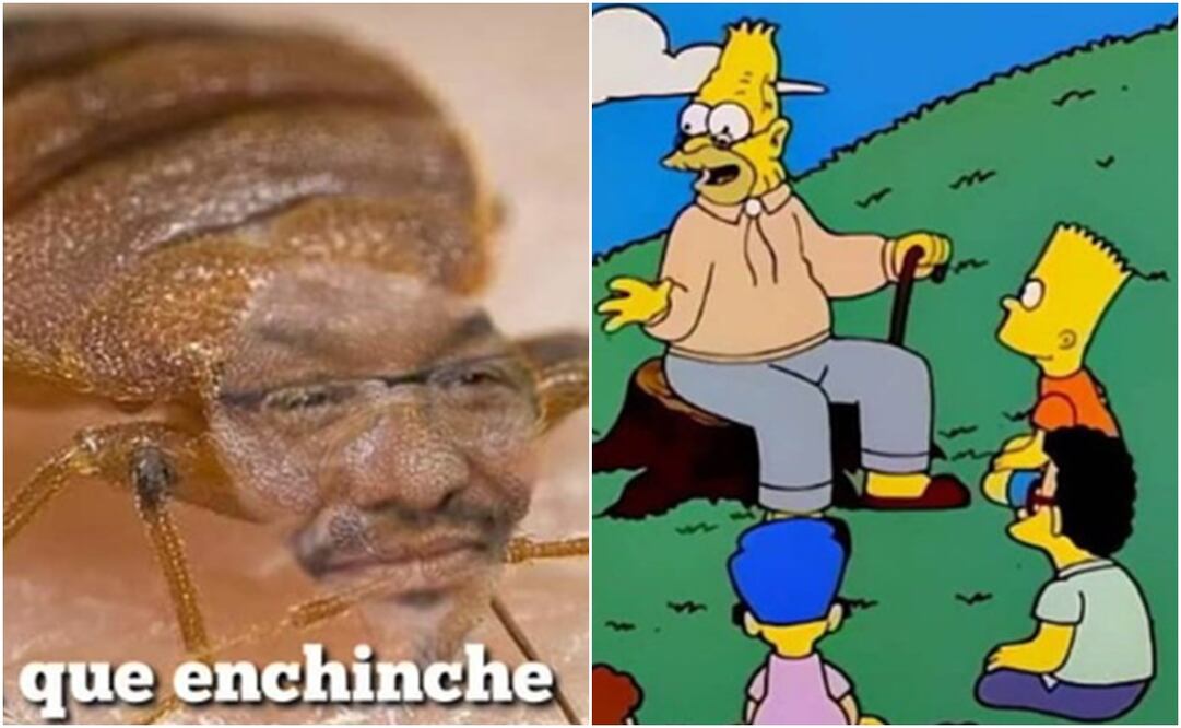 Memes de chinches en la UNAM. Foto: Redes Sociales