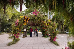Inauguran Festival de Flores y Jardines en Polanco; esperan más de 500 mil visitantes en Parque Lincoln