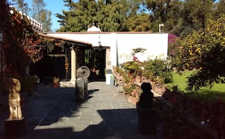 Cuánto cuesta la entrada al Museo Dolores Olmedo y qué incluye