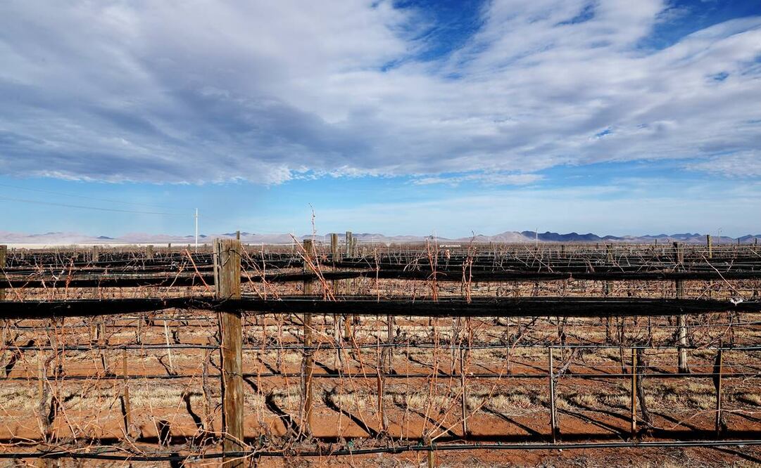 Foto: ARCHIVO / EL UNIVERSAL / Adriana Hernández