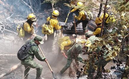 Controlan al 60% incendio en Jalpan de Serra, Querétaro