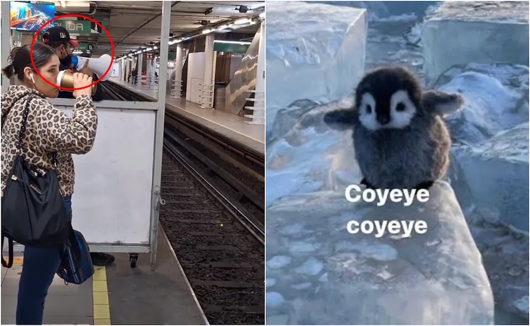 El video cuenta con 1.9 millones de reproducciones, más de 254 mil “likes” y con diversos comentarios por parte de usuarios de la red social. Foto: TikTok