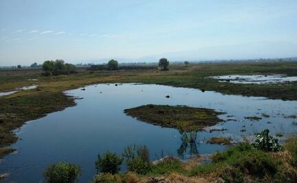 Ejidatarios inundan sus tierras para evitar trabajos del proyecto NAICM