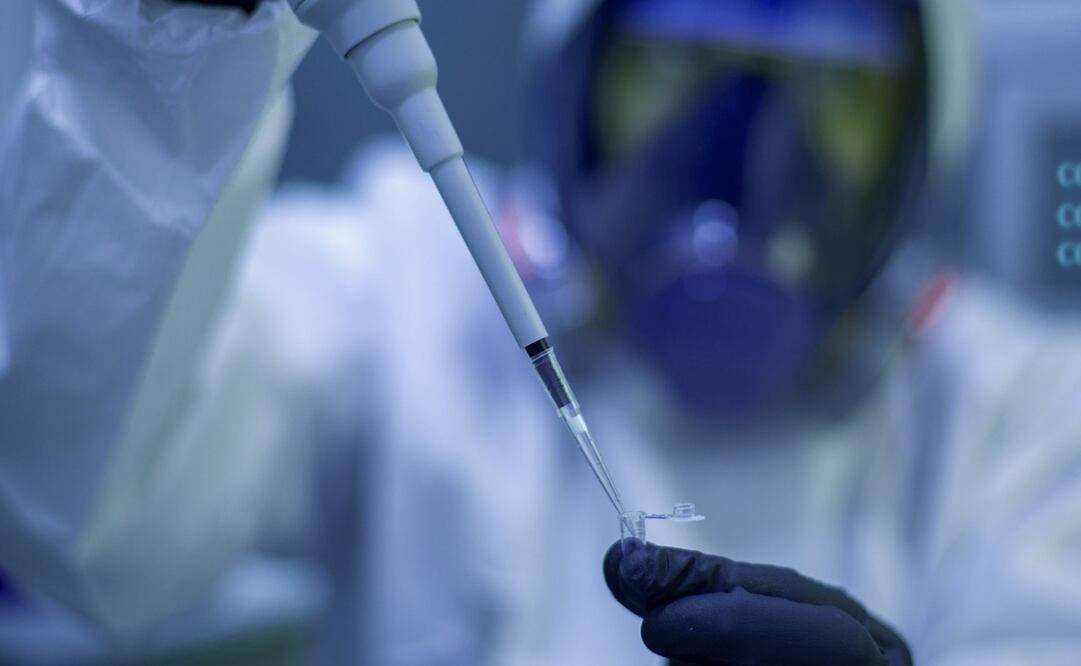 Carteles mexicanos buscan a estudiantes de química para fabricar Fentanilo (01/12/2024). Foto: Pizabay