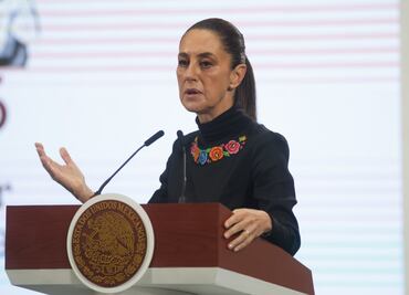 Sheinbaum: Maltrato animal es reflejo de lo que podría aumentar en términos de violencia; destaca ley de protección animal