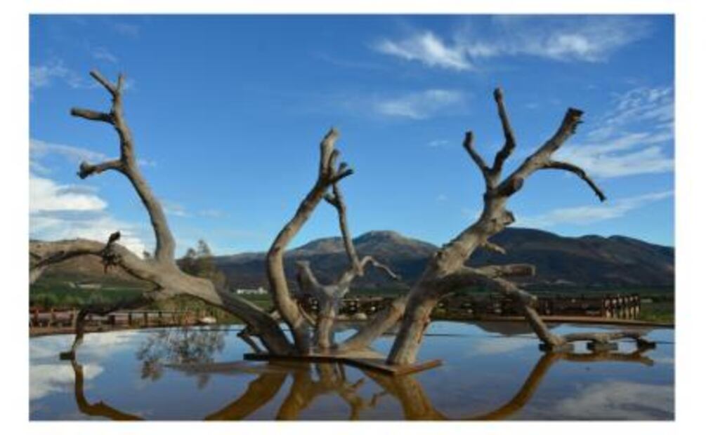 Restaurante Fauna evolución natural en Valle de Guadalupe