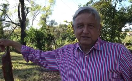 Renuncio a la política si Yunes demuestra que Duarte me dio dinero: AMLO