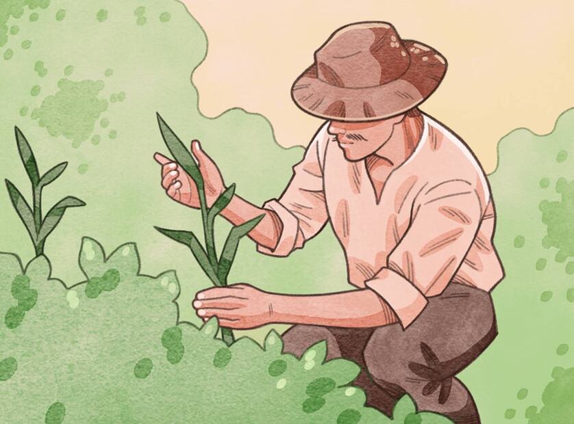 Por supuesto que las afirmaciones de Villa sobre sus conocimientos y aguda observación pueden cuestionarse ante la mirada crítica de la historia, pero no sobra decir que sus palabras resultan coherentes tanto con el desempeño de ciertas campañas militares como con su opinión sobre el valor de la educación pública. Imagen: Ivan Vargas/EL UNIVERSAL.