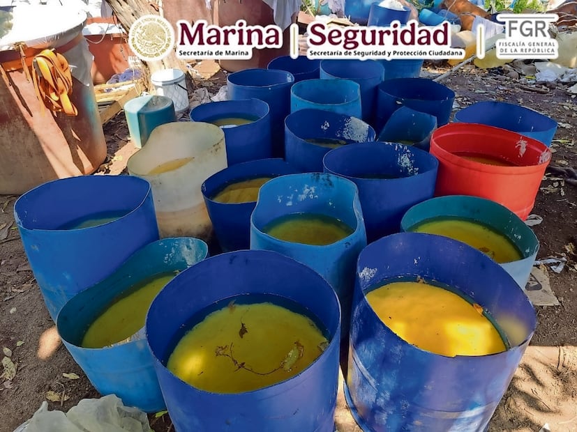 Los precursores químicos y sustancias decomisadas representan un golpe de 347 millones de dólares para las organizaciones delictivas. Foto: Especial