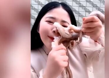 Bloguera de China intenta comerse vivo a pulpo pero éste la ataca