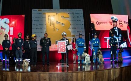 Rescue dogs awarded for their outstanding work