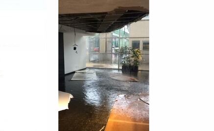 "Llueve" dentro de Semarnat