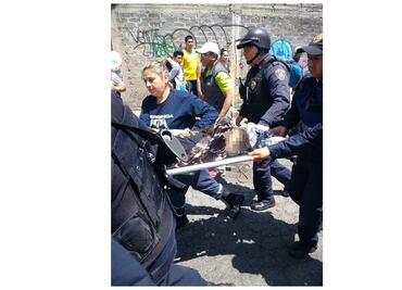 Choque en la Xochimilco-Topilejo deja 11 lesionados; tres son menores