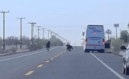 Persecución enciende alertas en carretera federal de Baja California Sur; agresores lanzan ponchallantas y luego huyen