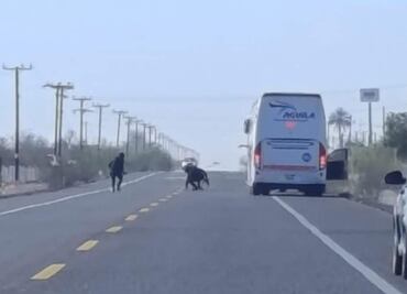 Persecución enciende alertas en carretera federal de Baja California Sur; agresores lanzan ponchallantas y luego huyen