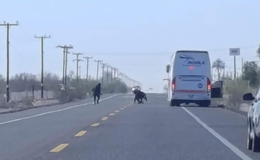 Durante la persecución en la carretera federal de Baja California Sur, participaron elementos de Seguridad Pública local, quienes identificaron que los tripulantes lanzaron ponchallantas (20/03/2025). Foto: Especial