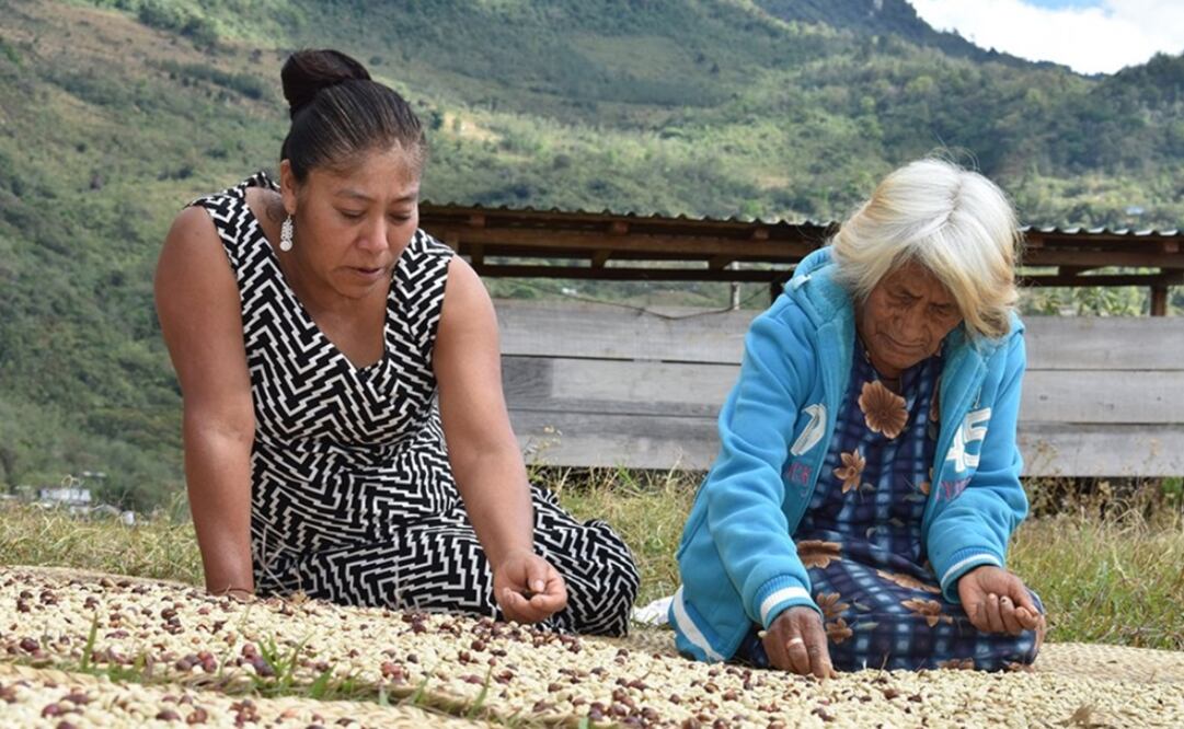 Las imágenes de Jaqueline Roque Candelaria, del pueblo zapoteco, capturan actividades que van desde labrar la tierra, recolectar hierbas y cosechar café. Foto: Twitter/FAO México