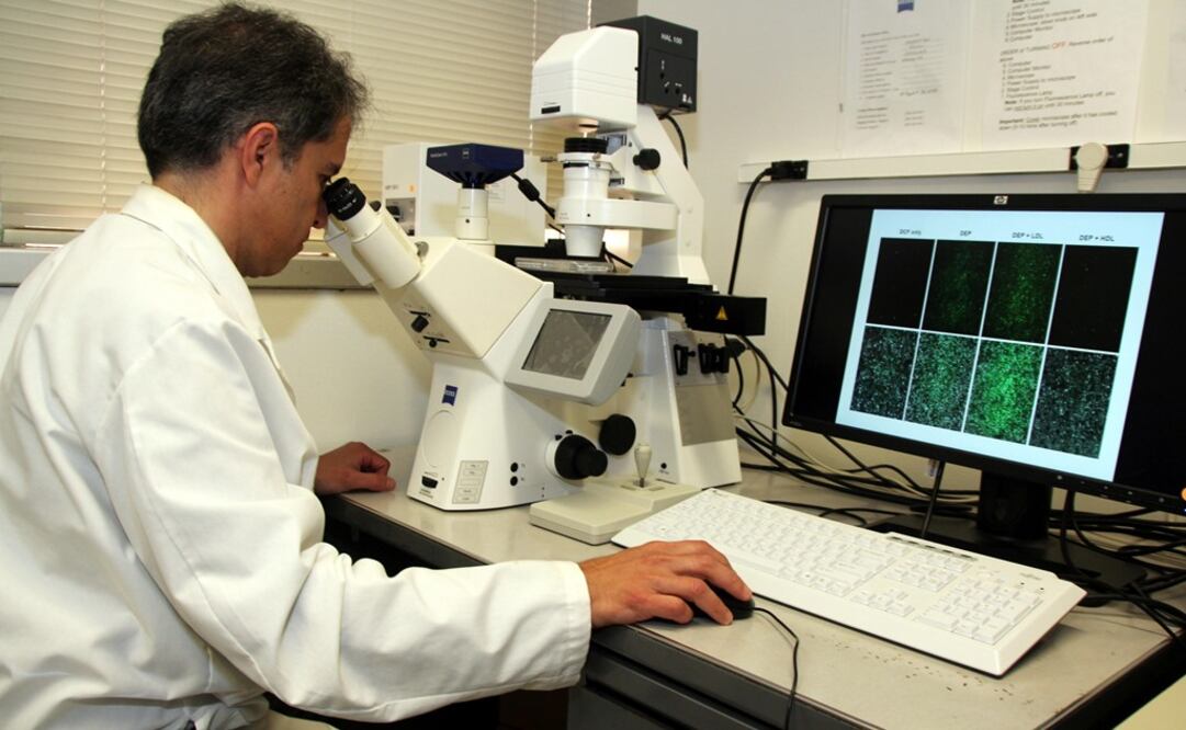 Imagen ilustrativa. Foto: EFE