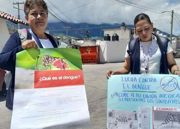 Edomex: alarma en la comunidad de Colorines por presencia del mosco que provoca el dengue