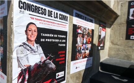 Activistas piden respetar iniciativa contra corridas de toros; denuncian que legisladores no asisten a sesiones de trabajo