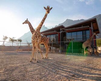 Xhant: así es el primer hotel con jirafas de México