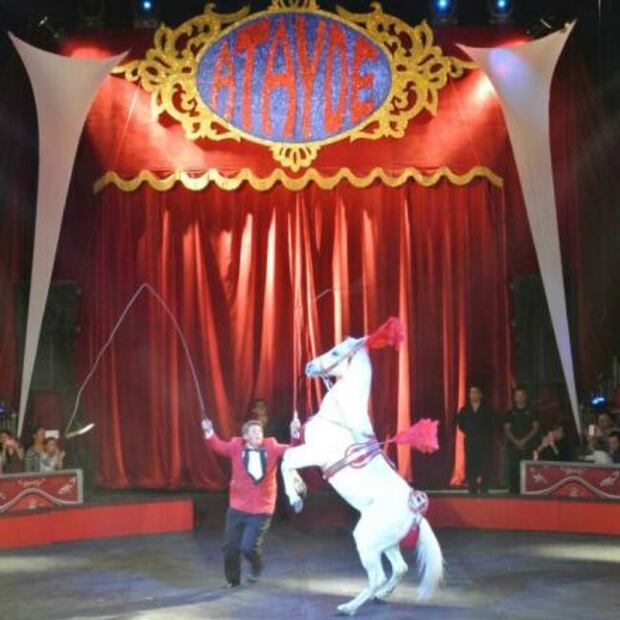 El niño que creció junto a los animales de un circo