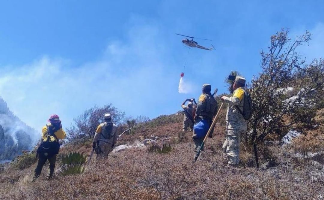 Incendio “Puerto del Volcán” en Miquihuana,  está controlado: Gobierno de Tamaulipas; siniestro comenzó el 22 de febrero.
Foto: Especial.