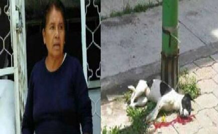 No procesarán a mujer que presuntamente arrojó a perro