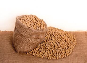 Quiénes no deben comer soya