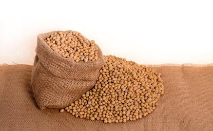 Quiénes no deben comer soya