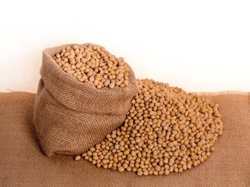Quiénes no deben comer soya