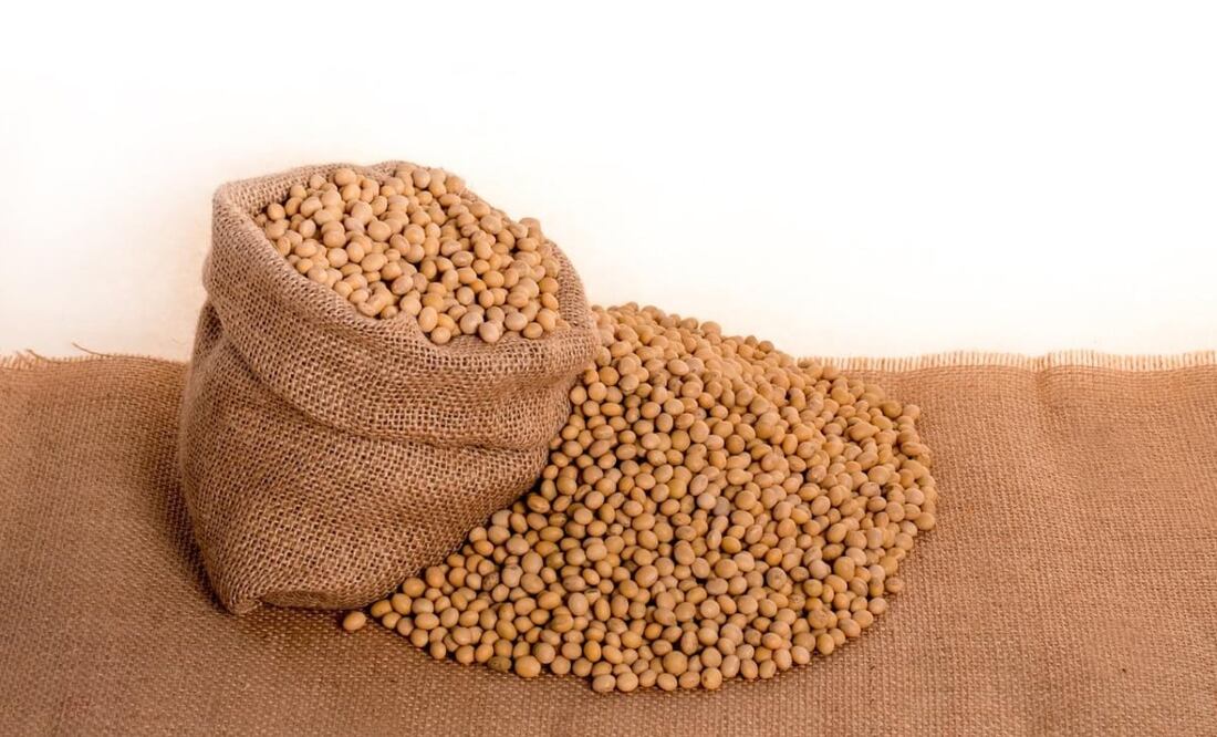 Los especialistas recomiendan un consumo de 25 miligramos de proteína de soya en los adultos. Foto: Pixabay