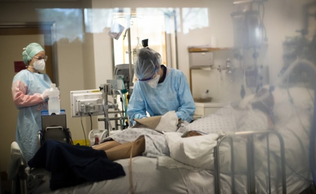 Brote de Klebsiella oxytoca