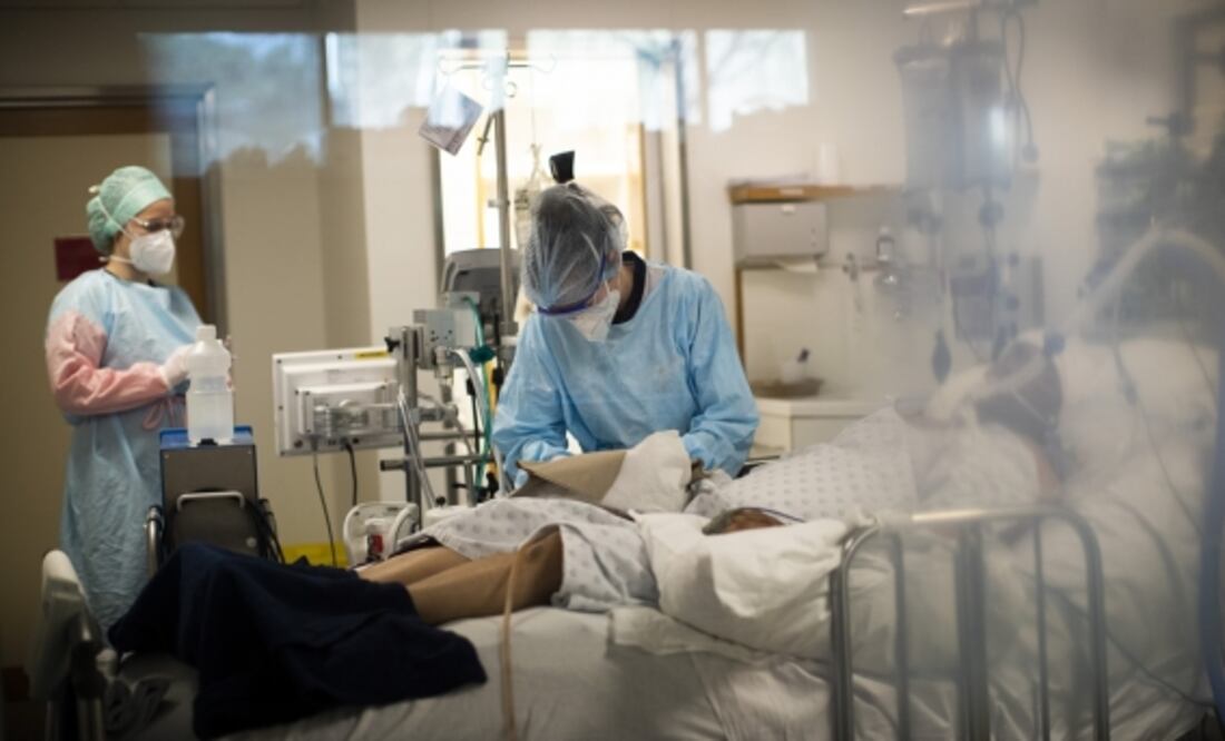 Brote de Klebsiella oxytoca